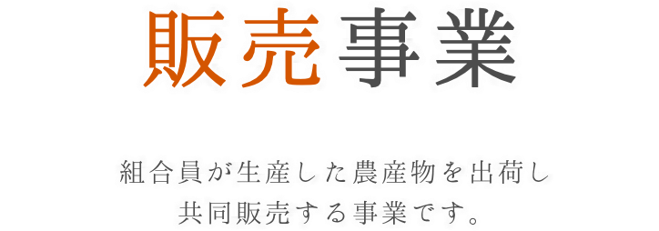 販売事業　組合員が生産した農産物を出荷し共同販売する事業です。